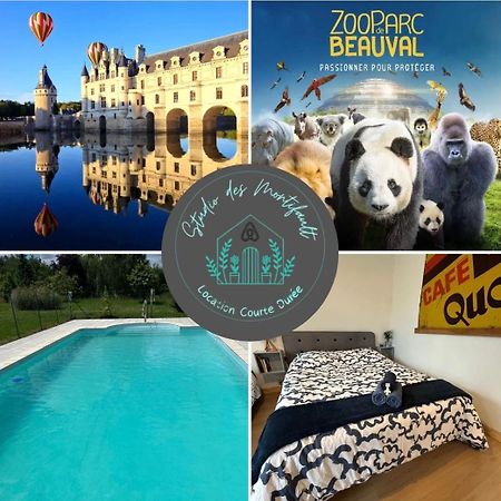 Studio Proche Beauval Et Chateaux De La Loire Francueil Eksteriør bilde